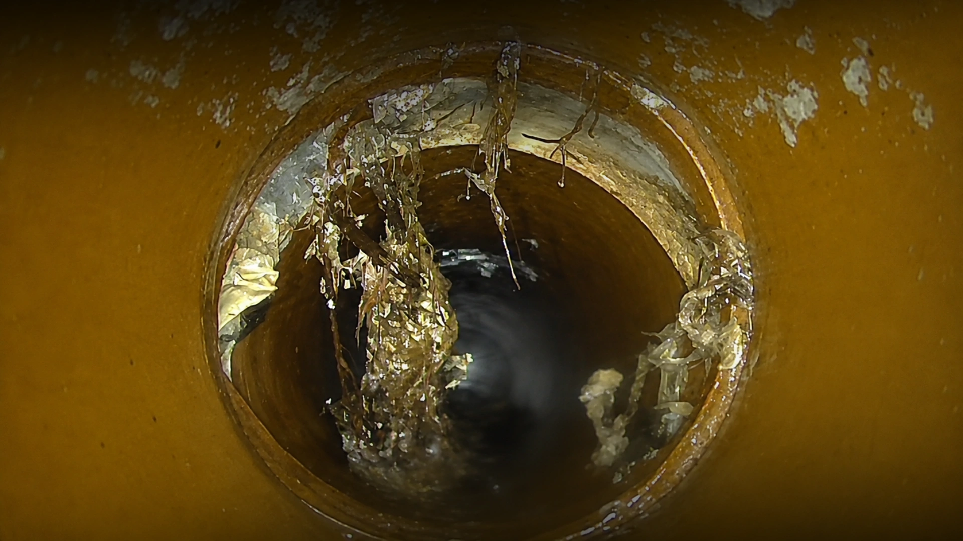 CCTV drain inspection camera and monitor showing the inside of a Napier drain