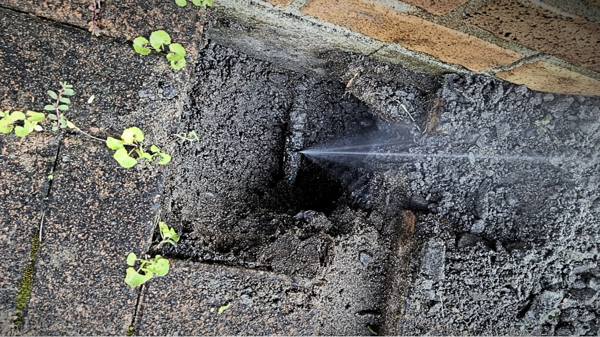 Plumber completing a rental maintenance repair for a Napier property manager